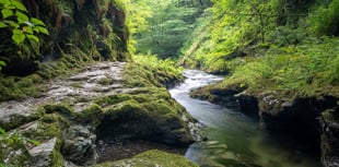 Lydford Gorge and Tree Surfers make best Devon family attractions list