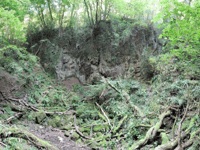 Devil's Pit abuser facing jail for assaults on girls over 3 decades
