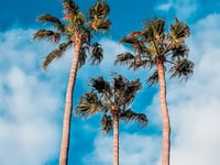 Your monthly guide to holidays and travel