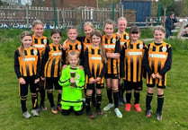 Girls inspired by Lionesses
