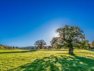 Mini heatwave set to hit Tavistock