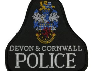 Former cop charged with rape