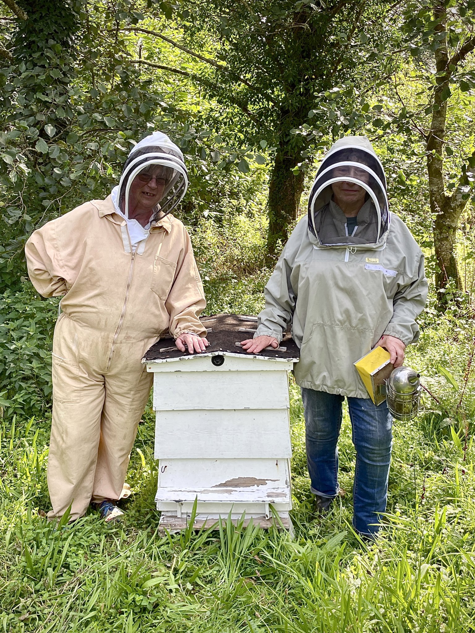 Keepers’ caution  over Asian hornet