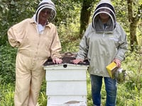 Keepers’ caution  over Asian hornet