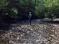 Plea to support river health