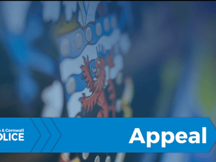 Appeal for witnesses following A30 crash 