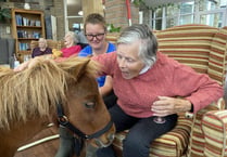 Therapy ponies bring smiles and memories to home