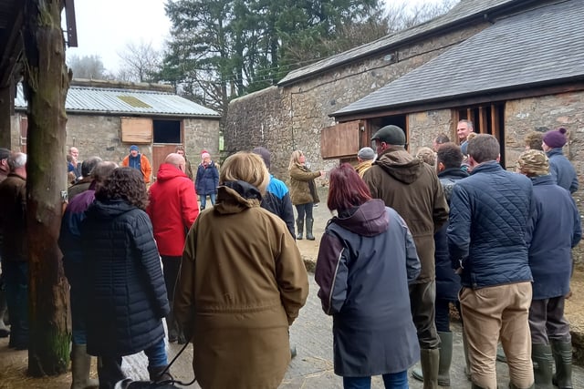 Free support sessions for Dartmoor farmers