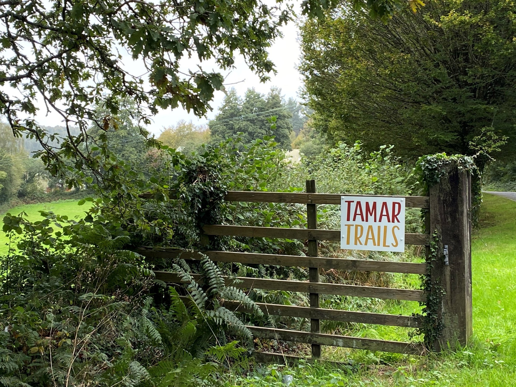 Adventure company unveils new tree top plan for Valley