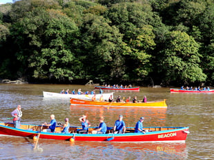 Cothele gig rowers' Tamar regatta