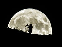 Halloween 2023: More witches living in West Devon