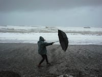 Storm Ciarán: school closures in West Devon