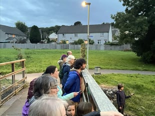 New town wildlife group’s bats success