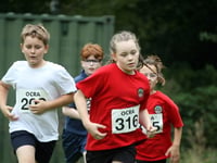 Everyone’s a winner in the schools X-country