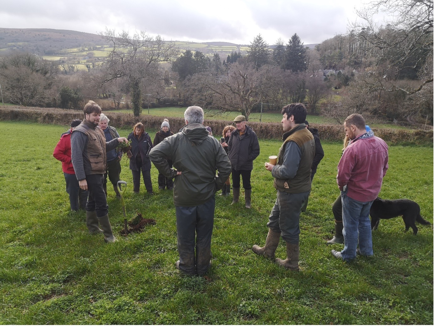 Dartmoor hill farmers offered free training