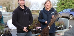 40,000 trees to be planted to improve Devon’s water quality