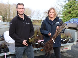 40,000 trees to be planted to improve Devon’s water quality