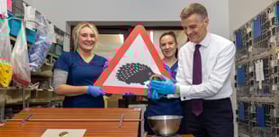 Simpler road signs to protect small animals and boost safety
