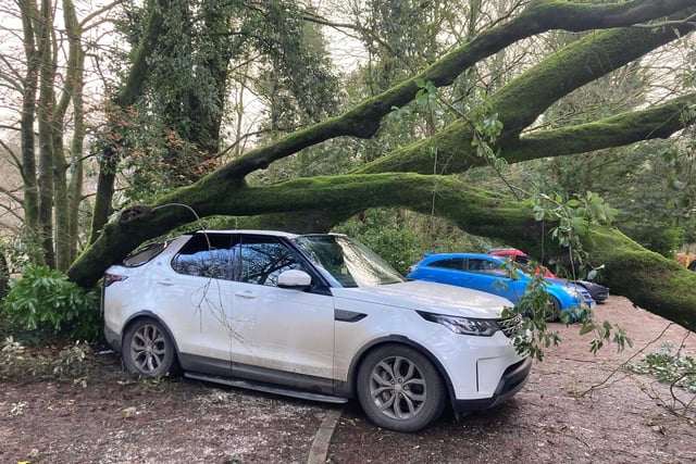 High winds bring down trees and a lorry