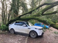 High winds bring down trees and a lorry