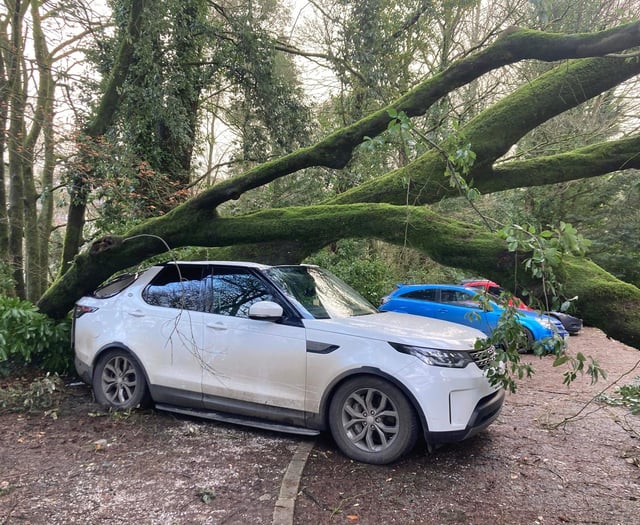 High winds bring down trees and a lorry