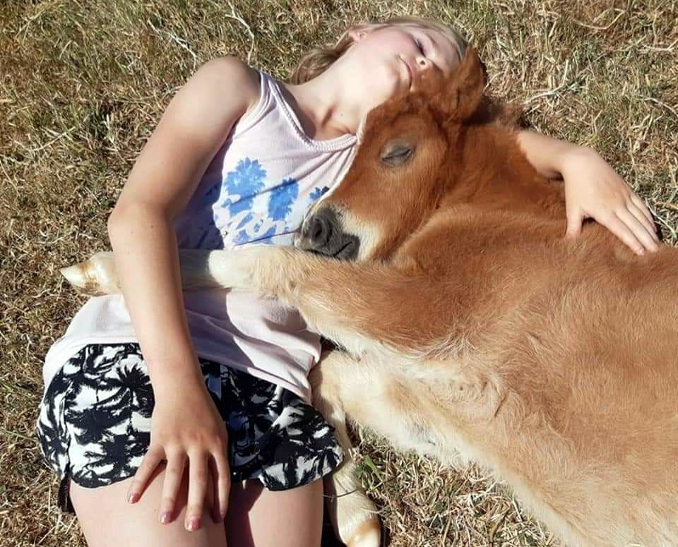 Ten years of pony therapy celebrated