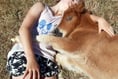 Ten years of pony therapy celebrated