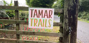 Objections to fresh application for treetop ride at Tamar Trails