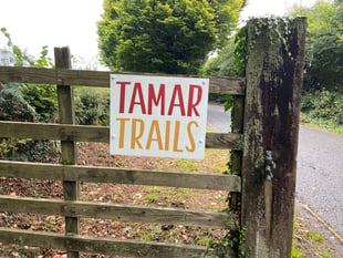 Objections to fresh application for treetop ride at Tamar Trails