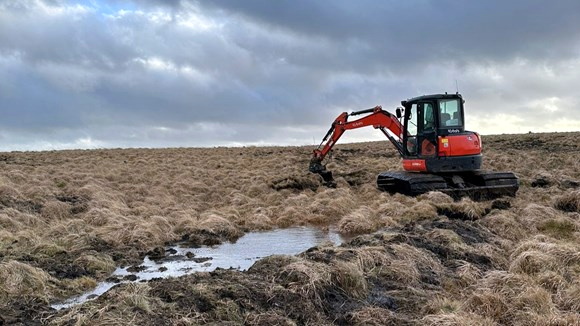 Peatland project to protect wildlife