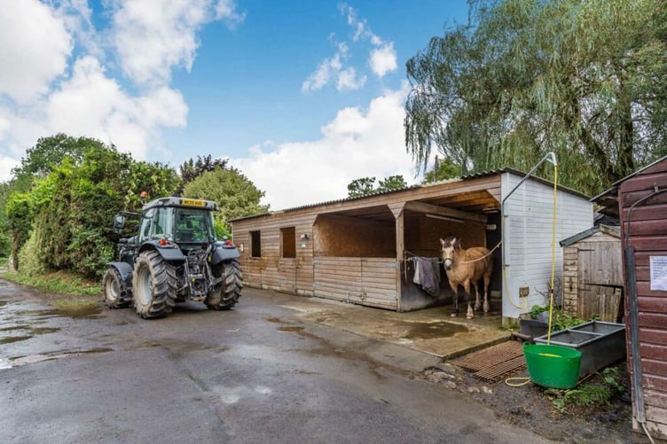st leonards equestrian