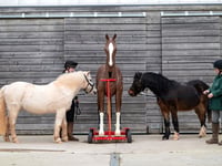 Appeal to buy Max the mannequin horse to train Dartmoor rescue teams