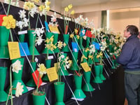 Bere Ferrers Spring Flower Show