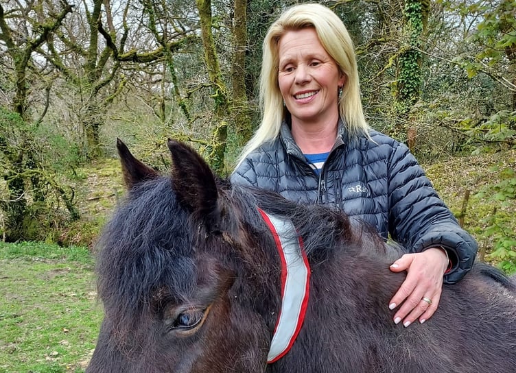 Karla McKechnie with a Dartmoor Pony fitted with a reflective safety collar under a new scheme to save them from being hit by traffic.
