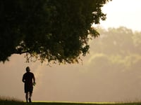 Adults in West Devon have above average levels of physical activity