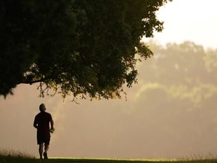 Adults in West Devon have above average levels of physical activity