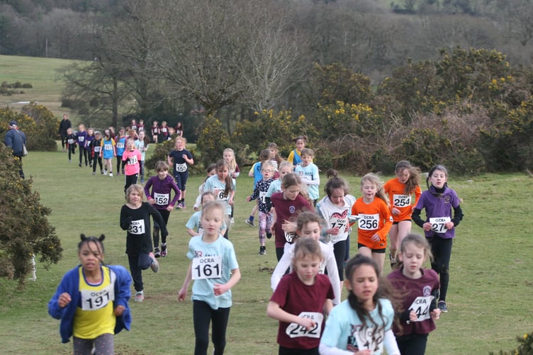Tavistock Area Primary Schools Cross Country