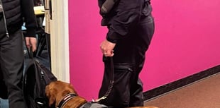 Police pup Skye visits Callington Community College