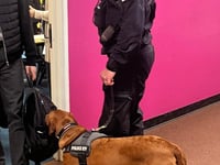 Police pup Skye visits Callington Community College