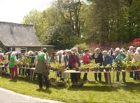 Fantastic total at plant sale