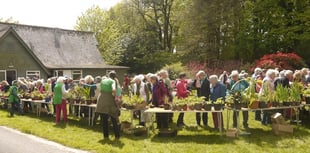 Fantastic total at plant sale