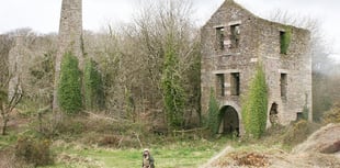 Promising signs that mining could return to the Tamar Valley