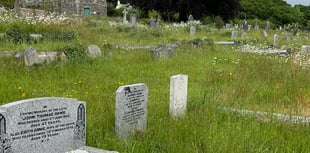 Green area rewilding sparks debate in Calstock parish