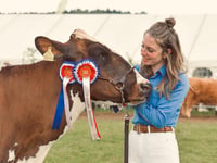 Family's cattle are pride of the shows