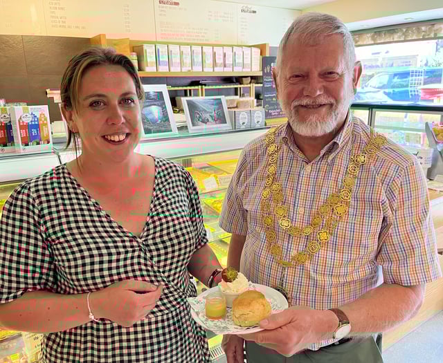 Judging underway for best bakes of Tavistock Cream Tea Week