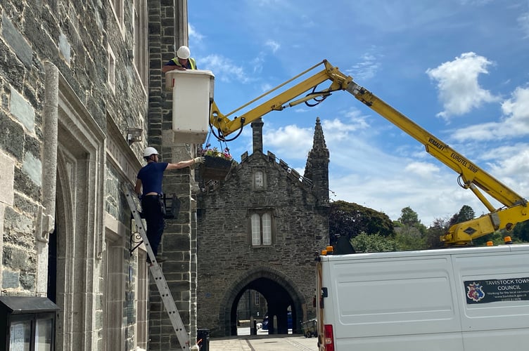 Tavistock Town Council hanging floral baskets on the town hall.
