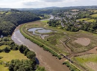 Tamar Community Trust needs trustees and volunteers