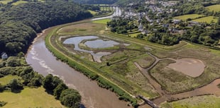 Tamar Community Trust needs trustees and volunteers