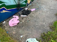 Call to report Callington skatepark vandalism