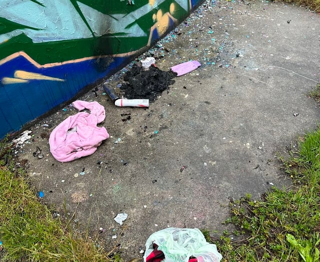 Call to report Callington skatepark vandalism